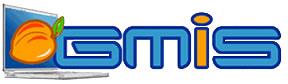 gmis logo